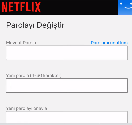 netflix şifre değiştirme