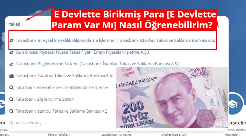 E Devlette Birikmiş Para