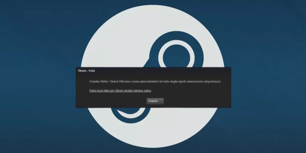 Steam Envanterine Şu Anda Erişilemiyor