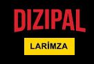 Dizipal